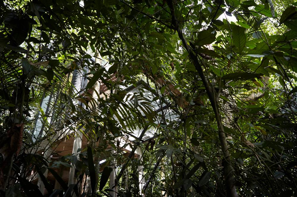 glass box 2 at  sekeping serendah