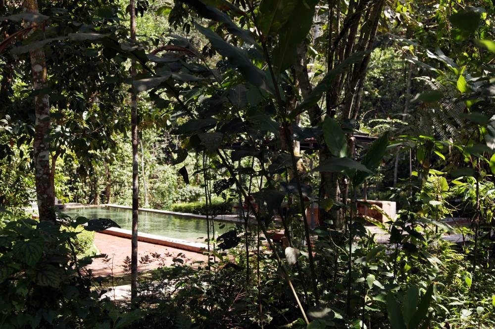 pool 1 at sekeping serendah